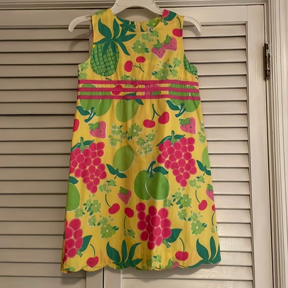 Lilly Pulitzer Other - Lilly Pulitzer dress